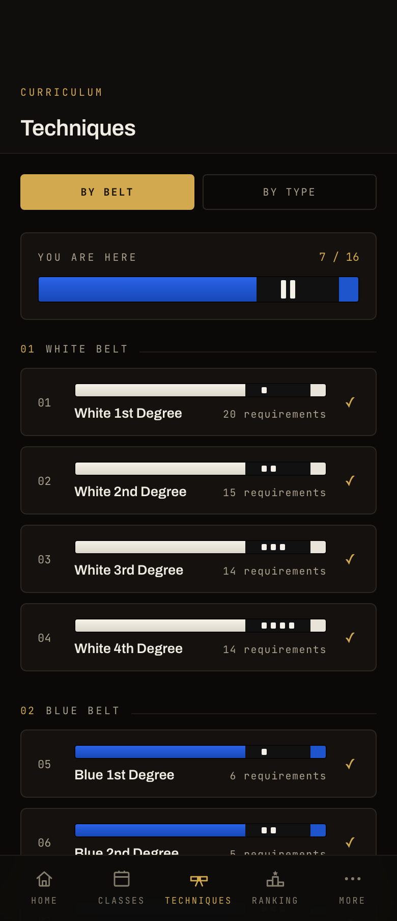 Techniques screen of the academy app: belt curriculum with progress